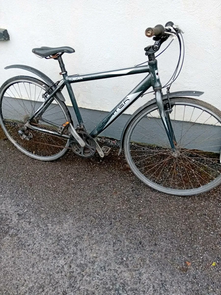 Adult bike - Image 1