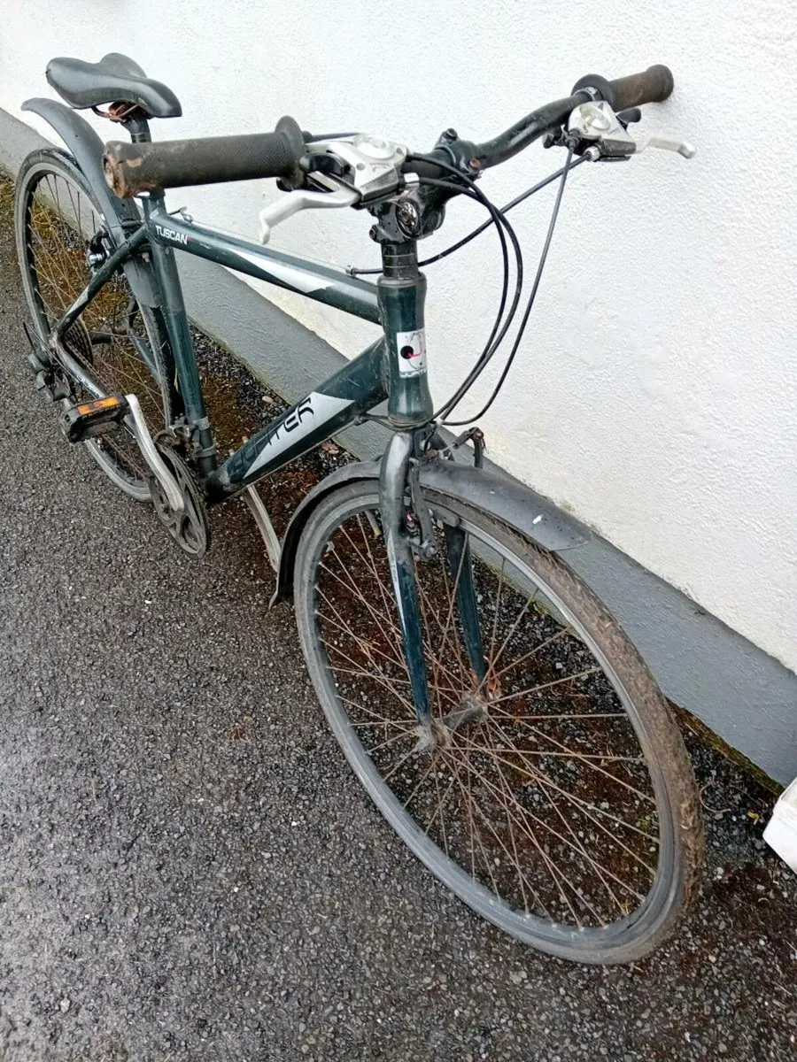 Adult bike - Image 2