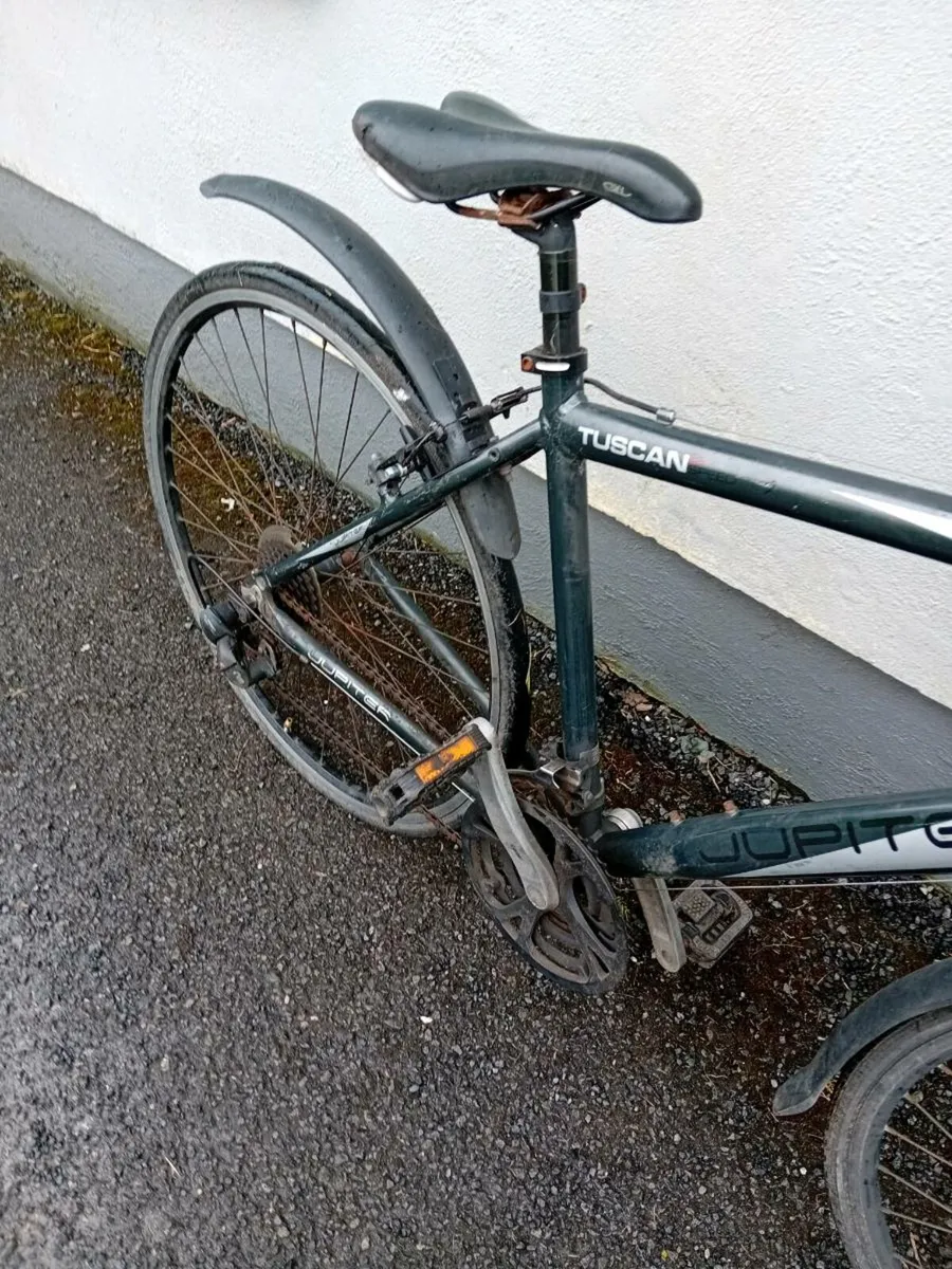 Adult bike - Image 3