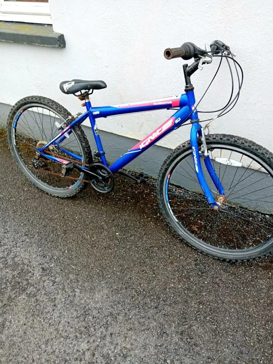 Adult bike - Image 1