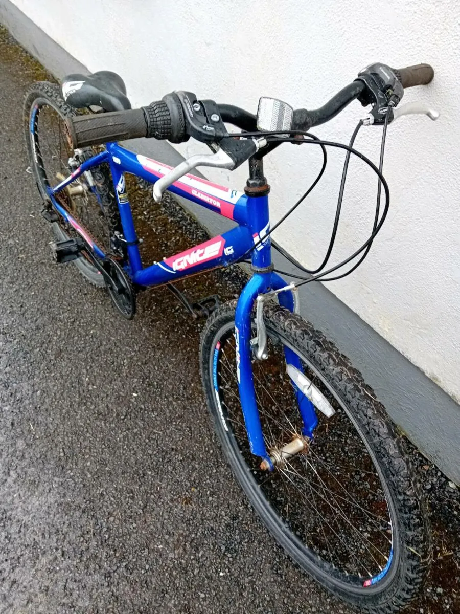 Adult bike - Image 2