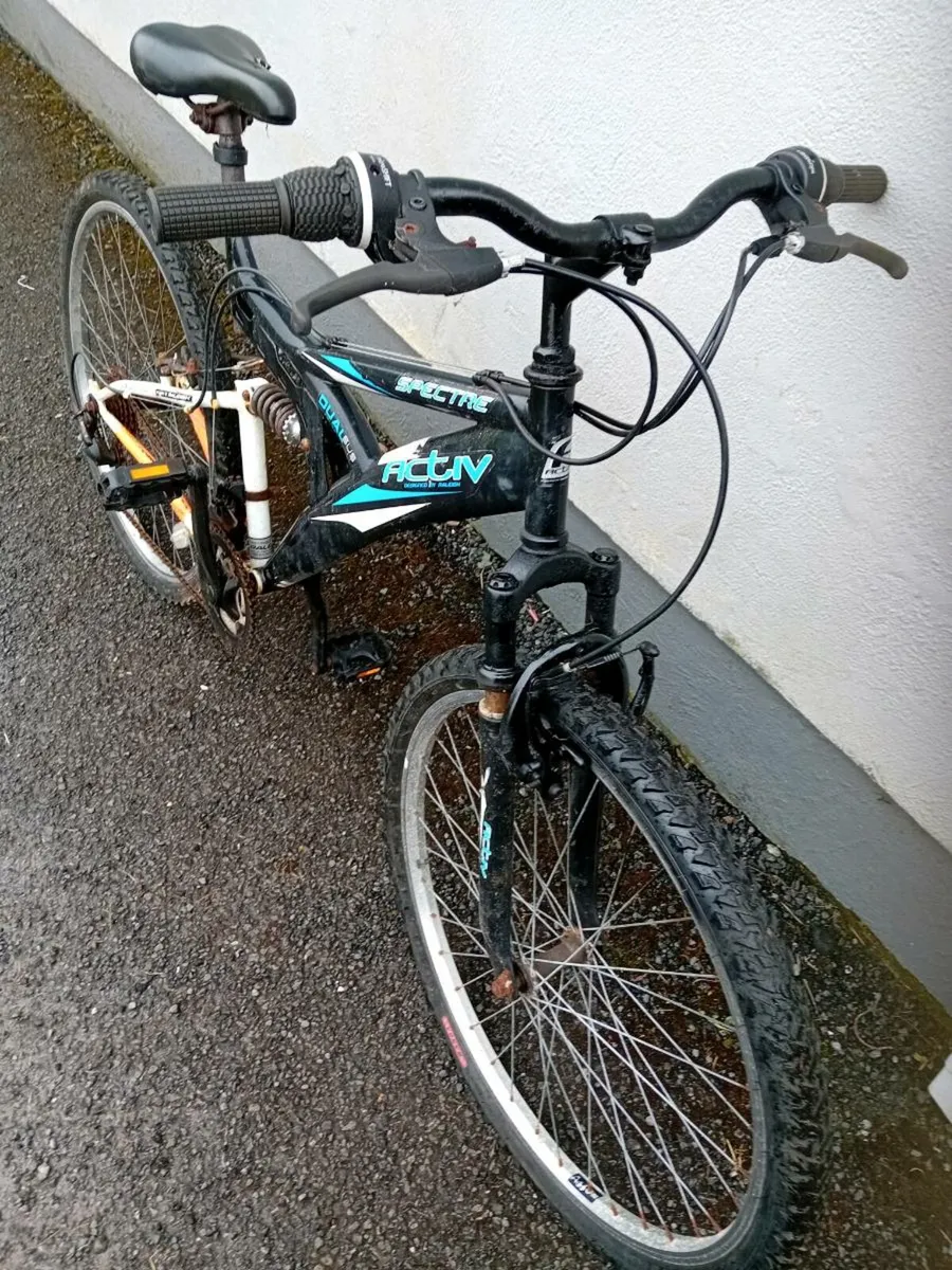 Adult bike - Image 2