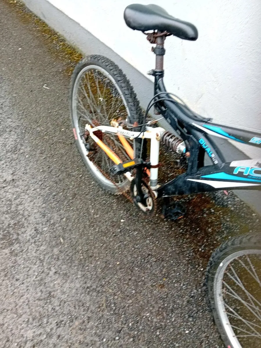 Adult bike - Image 3