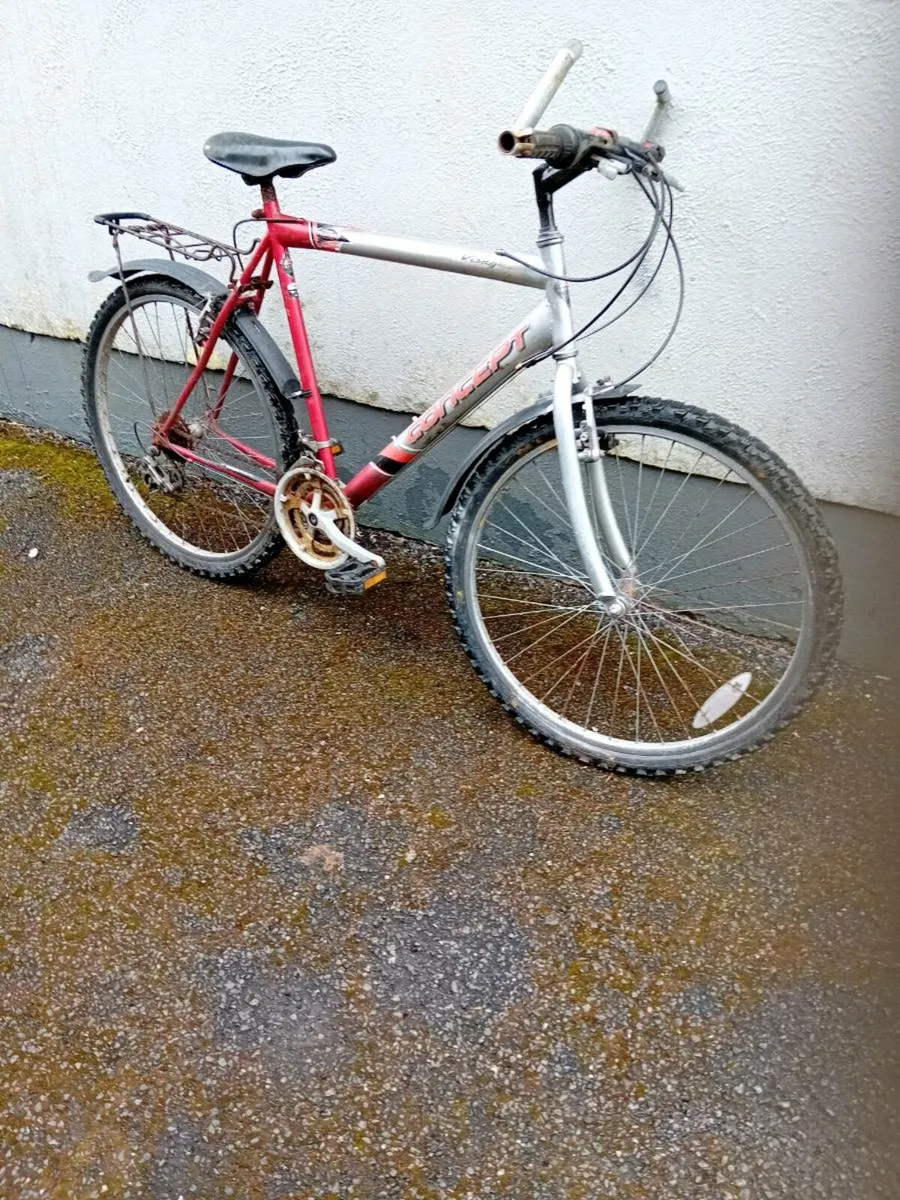 Adult bike - Image 1