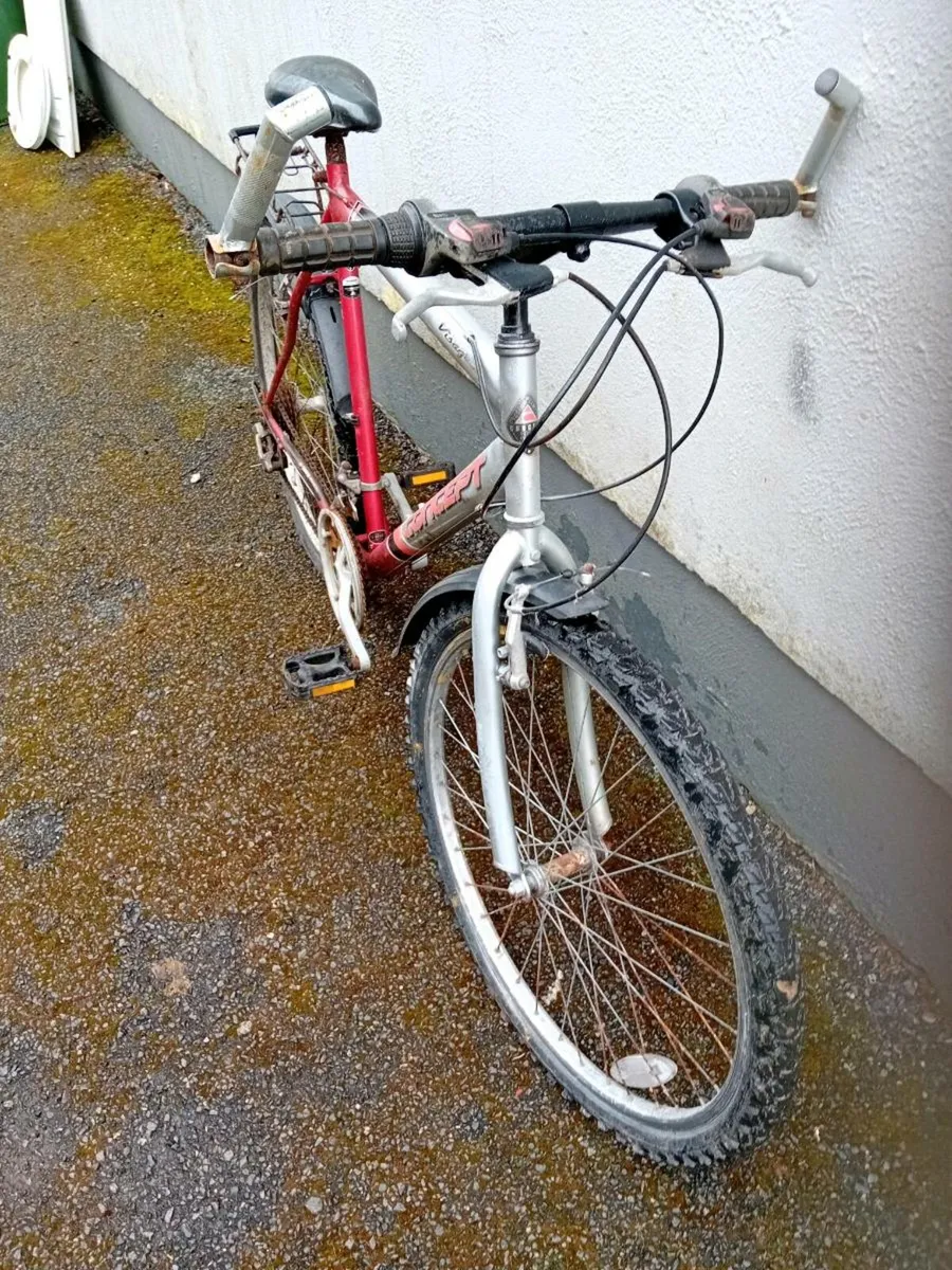 Adult bike - Image 2