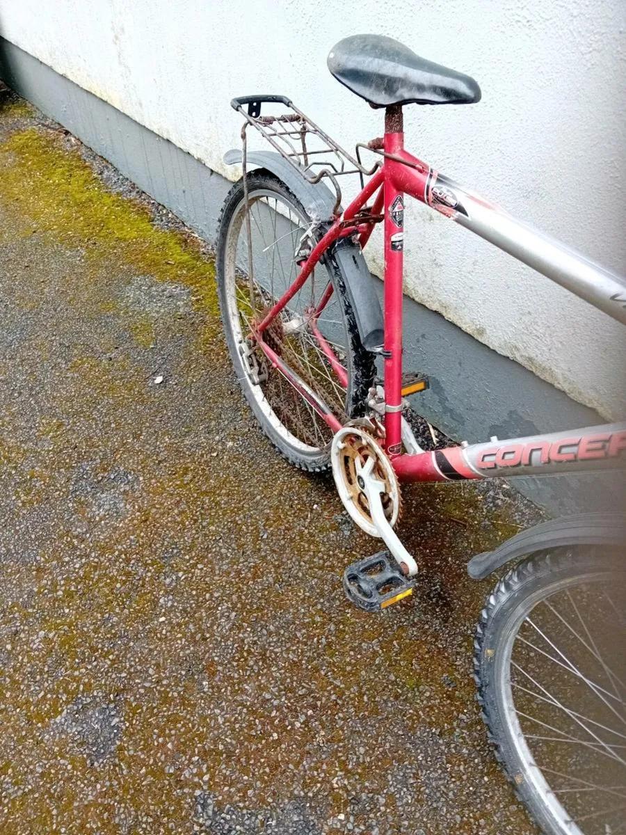 Adult bike - Image 3