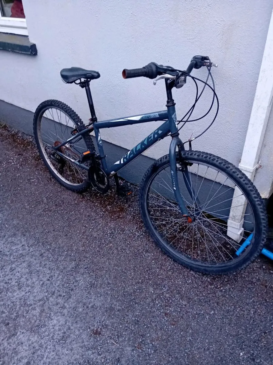 Adult bike - Image 1