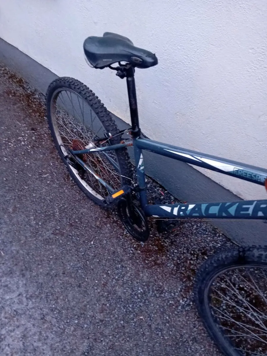 Adult bike - Image 3