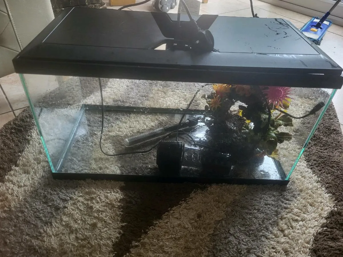 Fish tank - Image 1