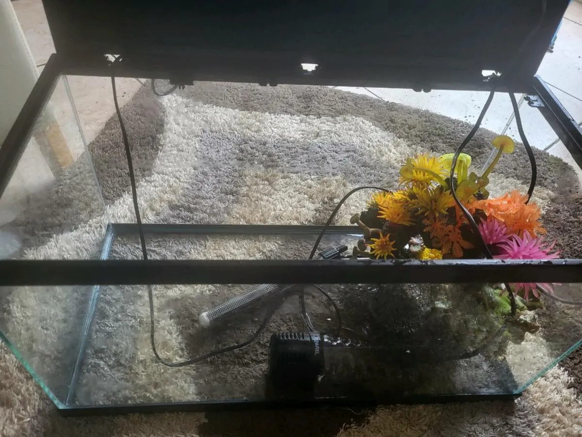 Fish tank - Image 4