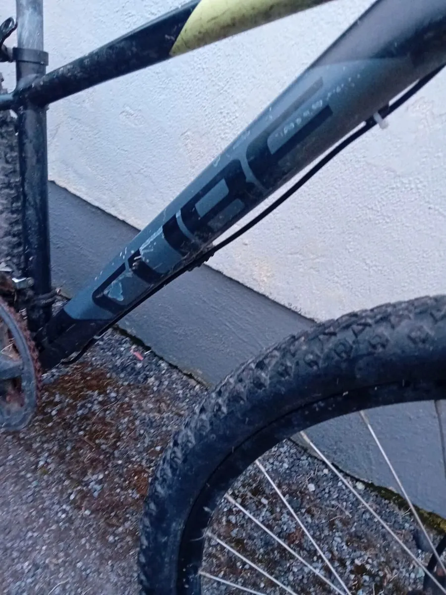 Adult bike - Image 2
