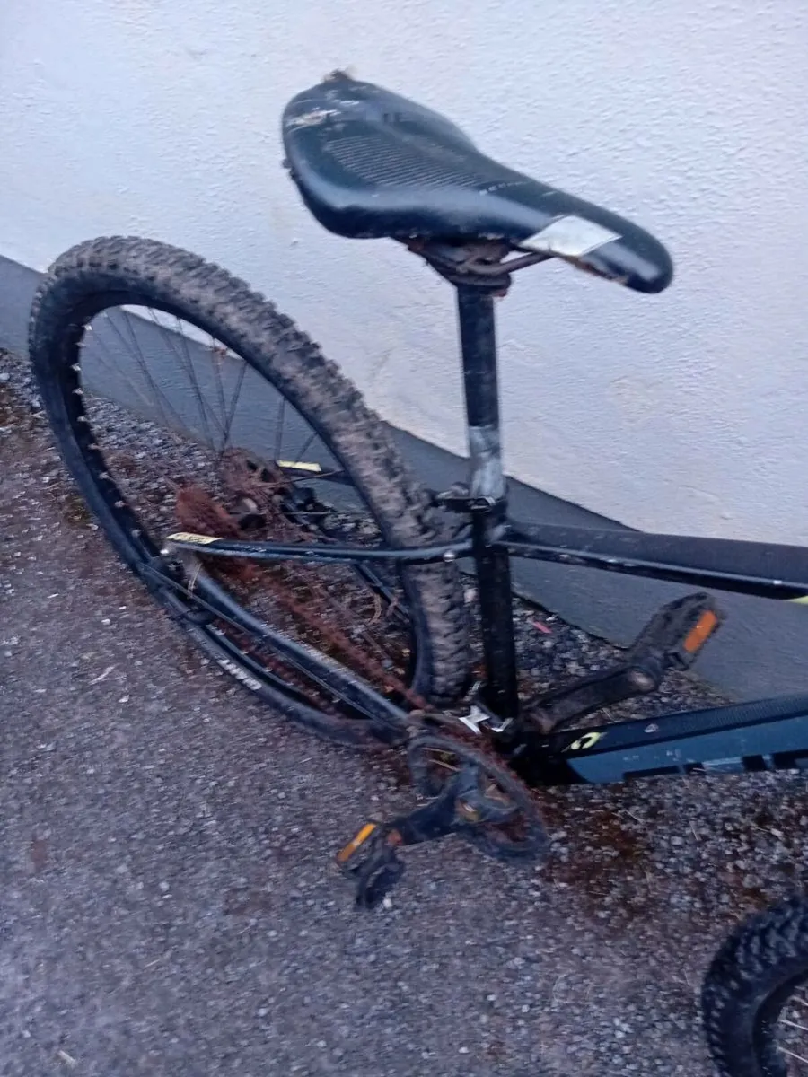 Adult bike - Image 4
