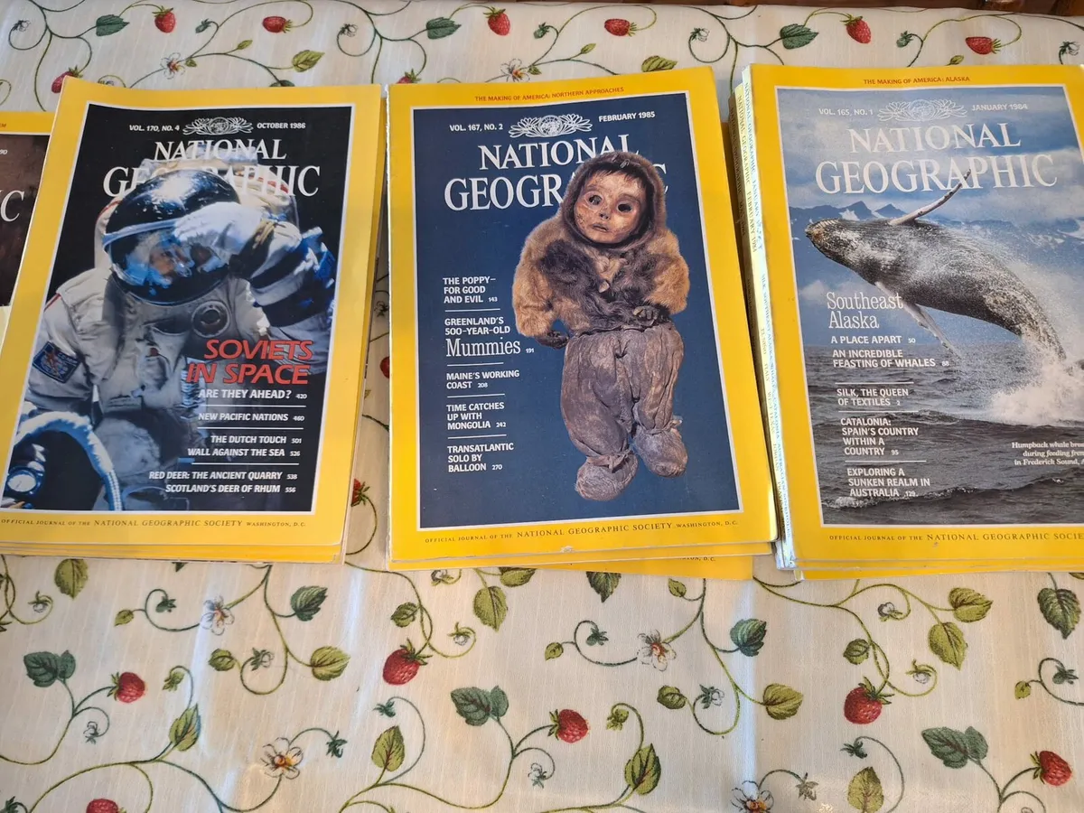 National geographic magazines - Image 4