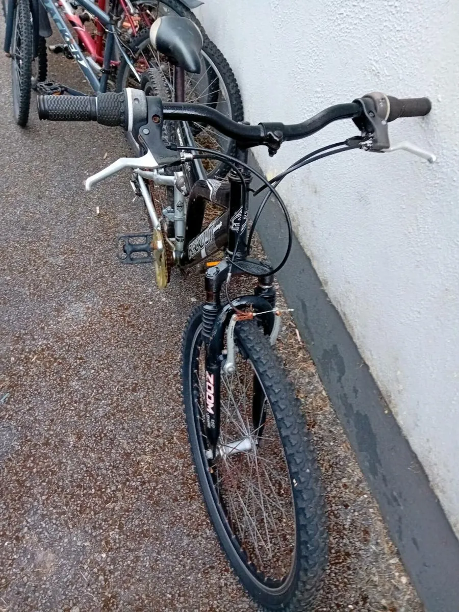 Adult bike - Image 2