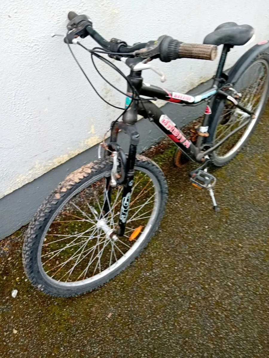 Adult bike - Image 2