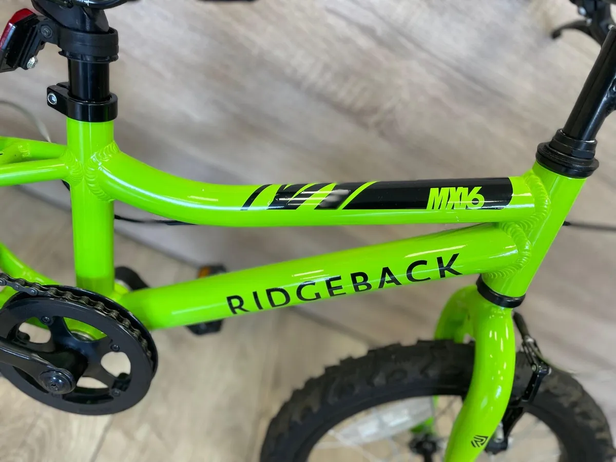 Ridgeback MX16 (like new) - Image 3