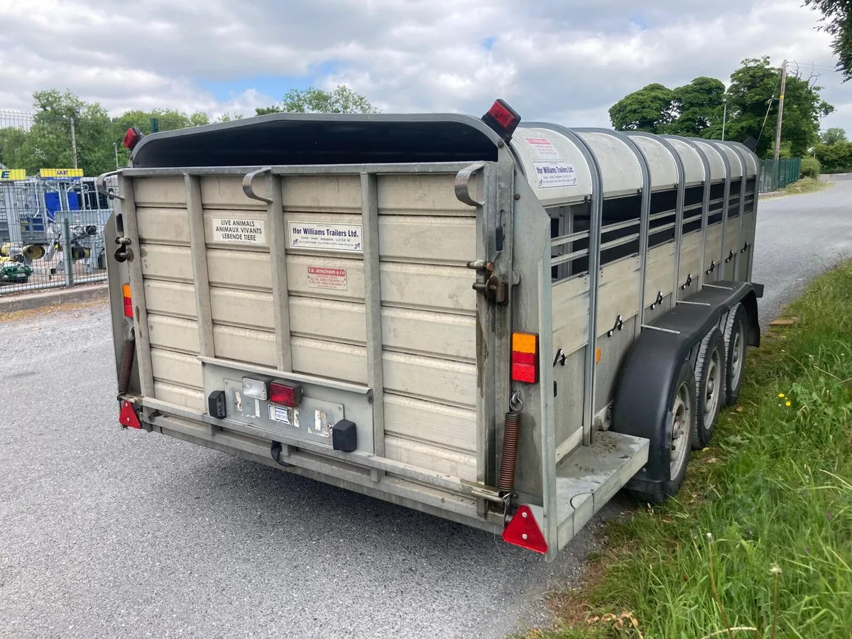 2015 Ifor Williams 14ft Sheep Trailer - Image 2