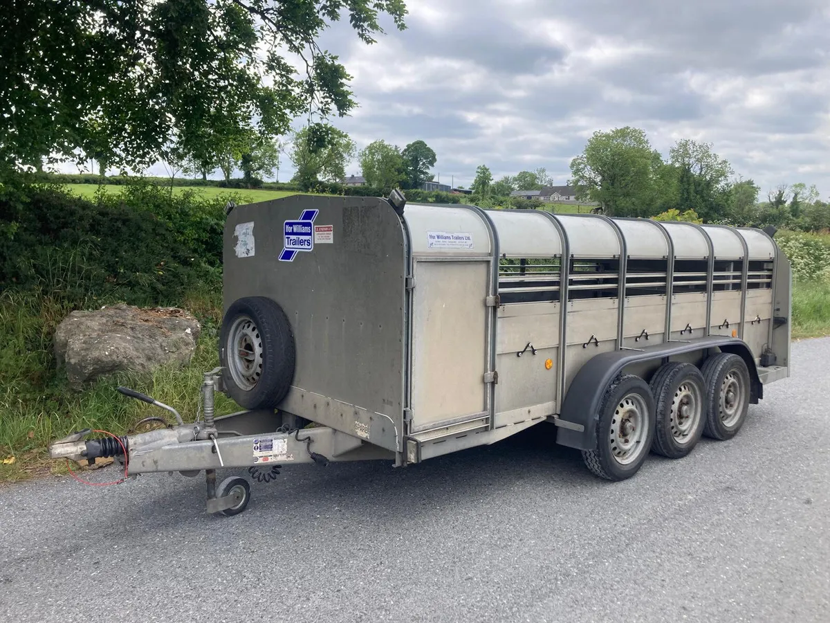 2015 Ifor Williams 14ft Sheep Trailer - Image 1