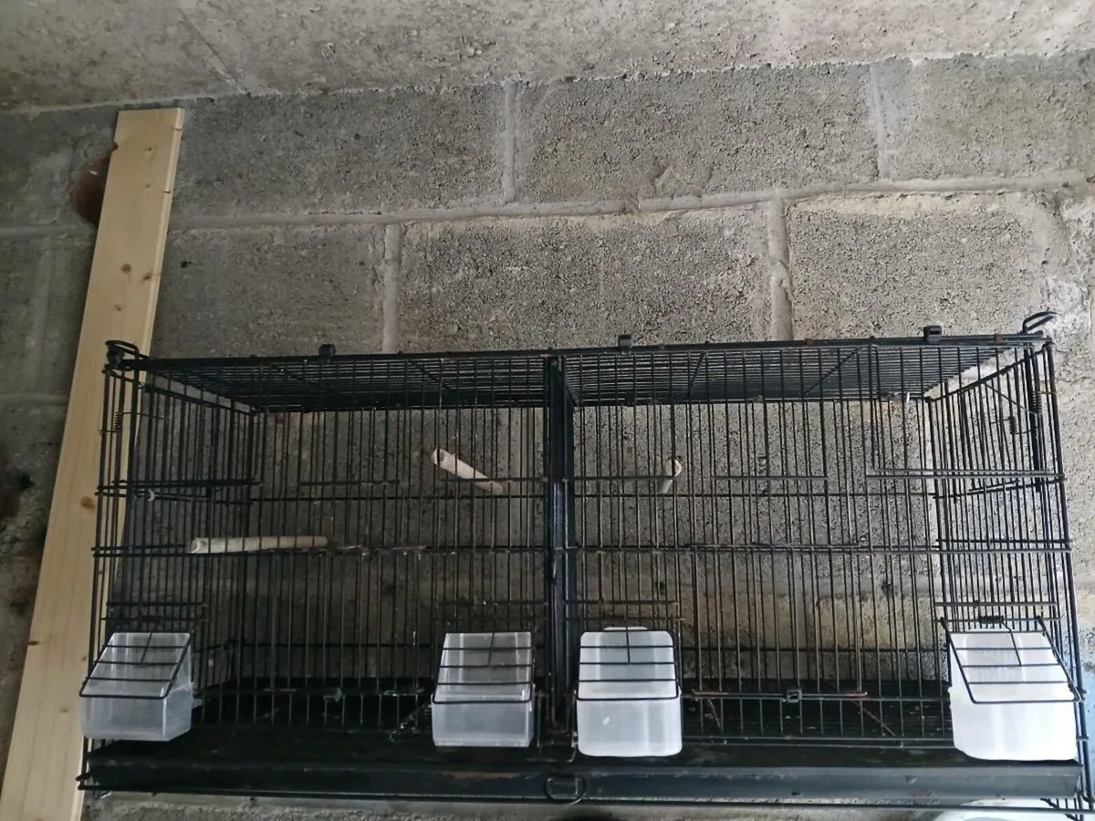 Budgie double breeding cages - Image 2