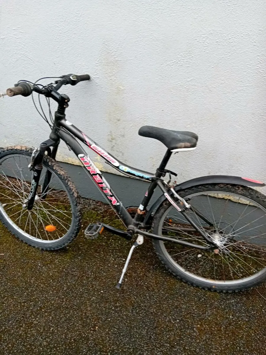 Adult bike - Image 1