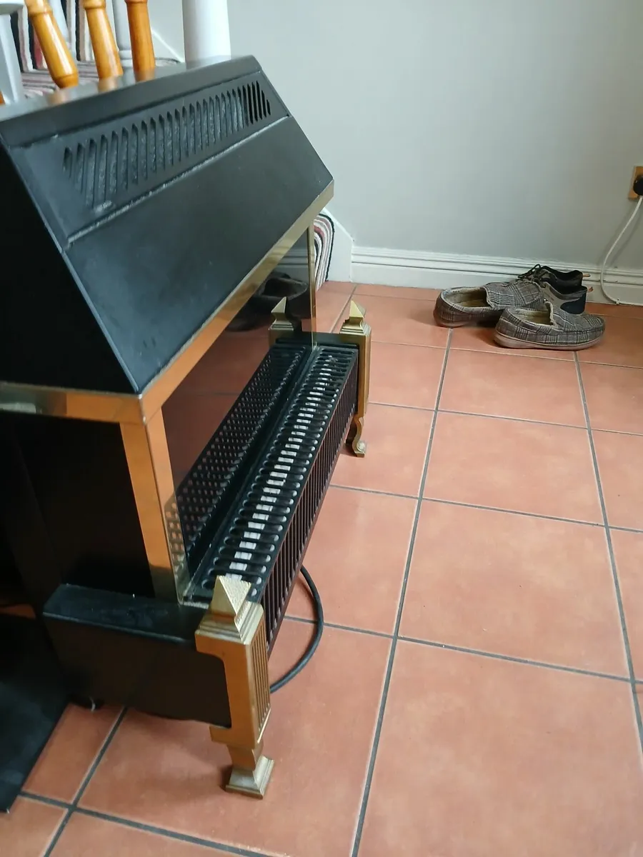 Electric Fire - Image 2