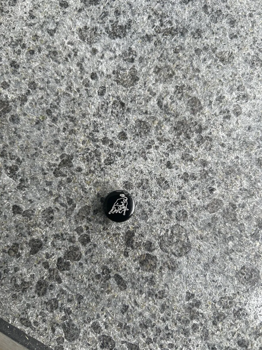 Lamborghini dust caps