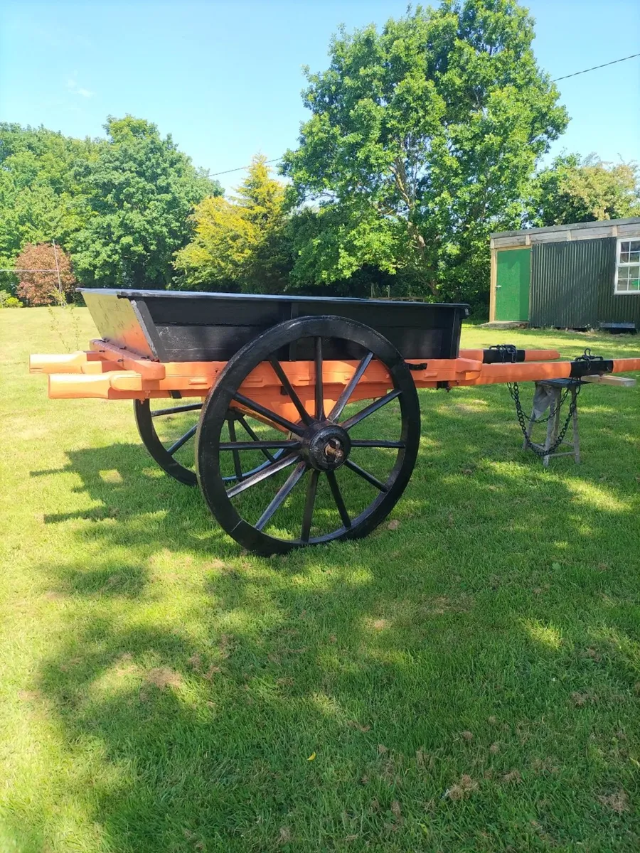 Horse drawn Cart - Image 4