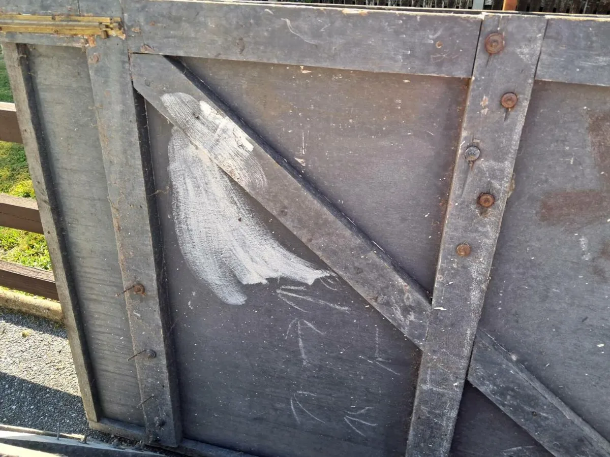 Pair of garage door - Image 3