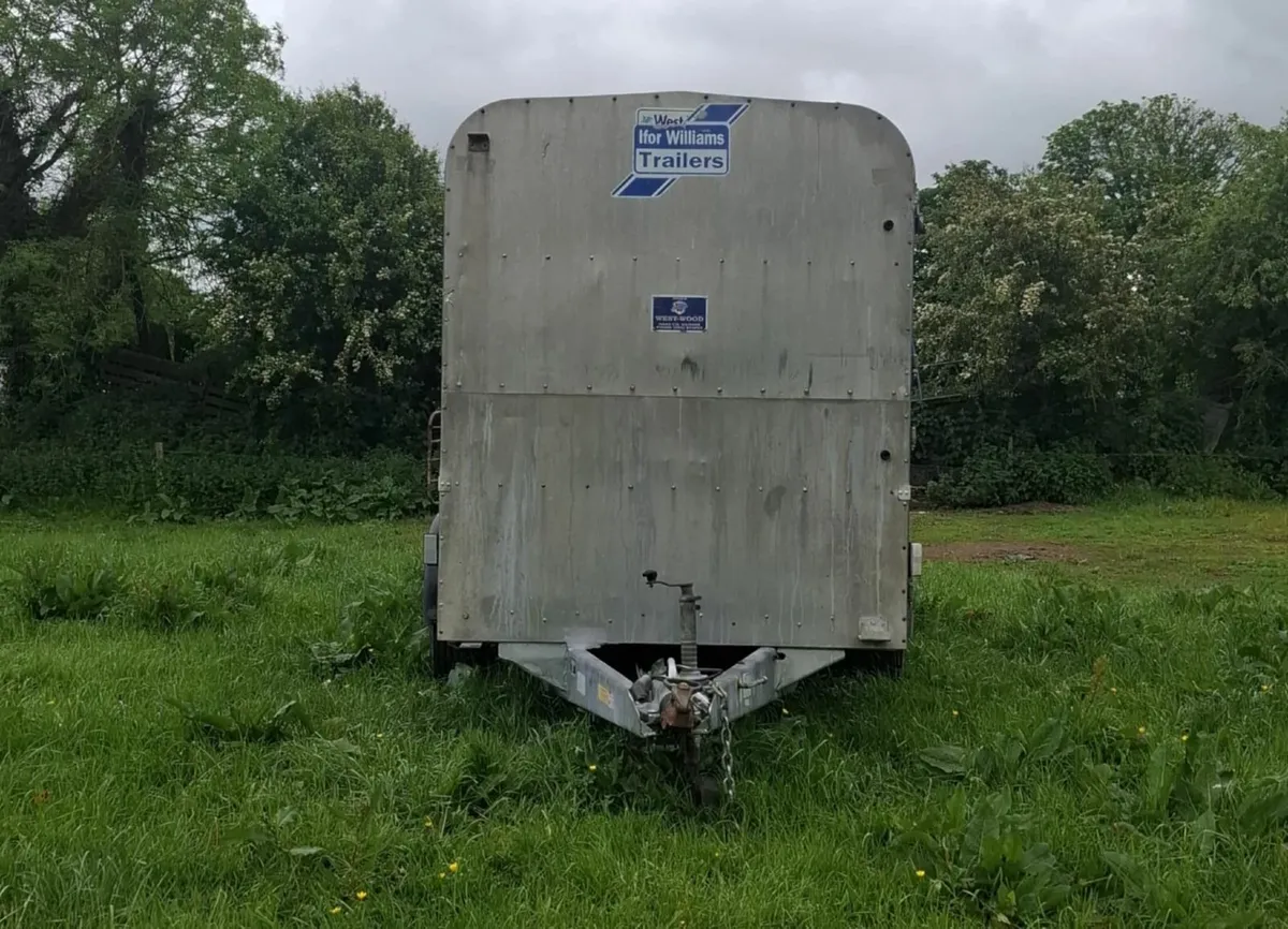 Cattle Trailer - Image 2