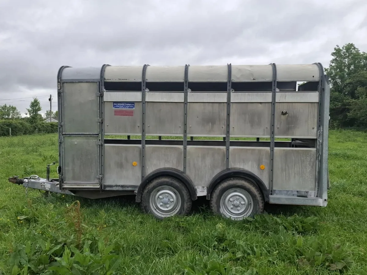 Cattle Trailer - Image 3