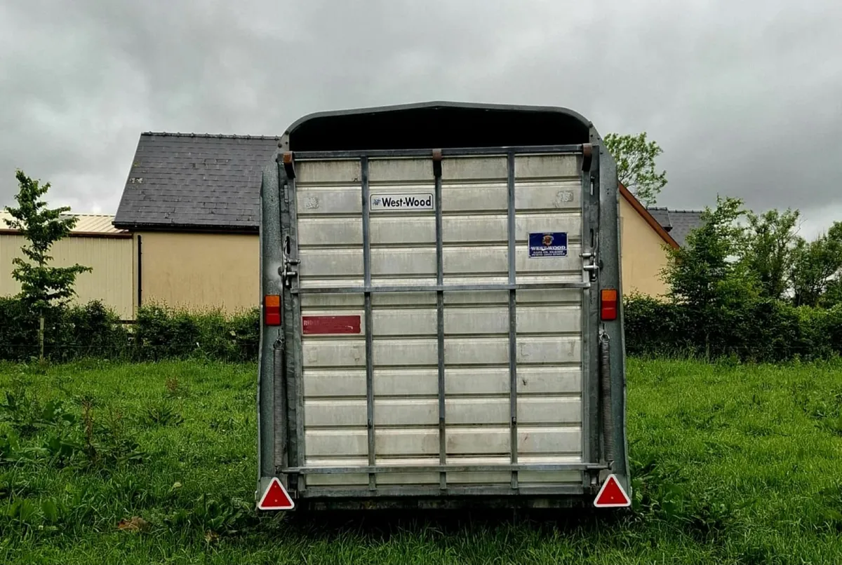 Cattle Trailer - Image 4