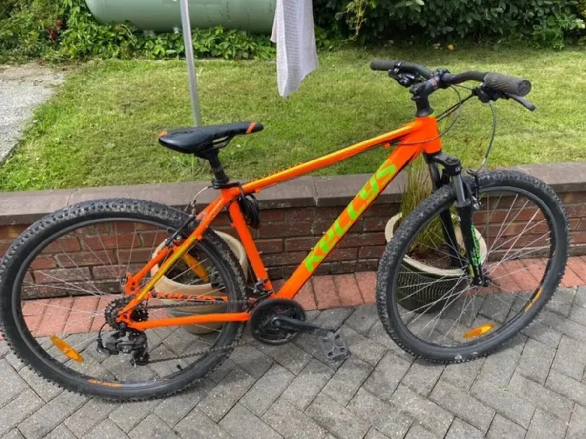 Mountain Bike