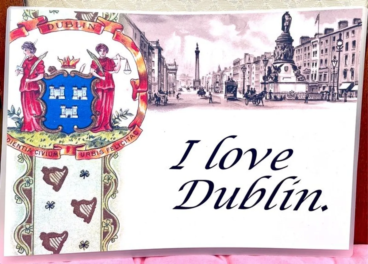 Dublin retro Arms display sign .