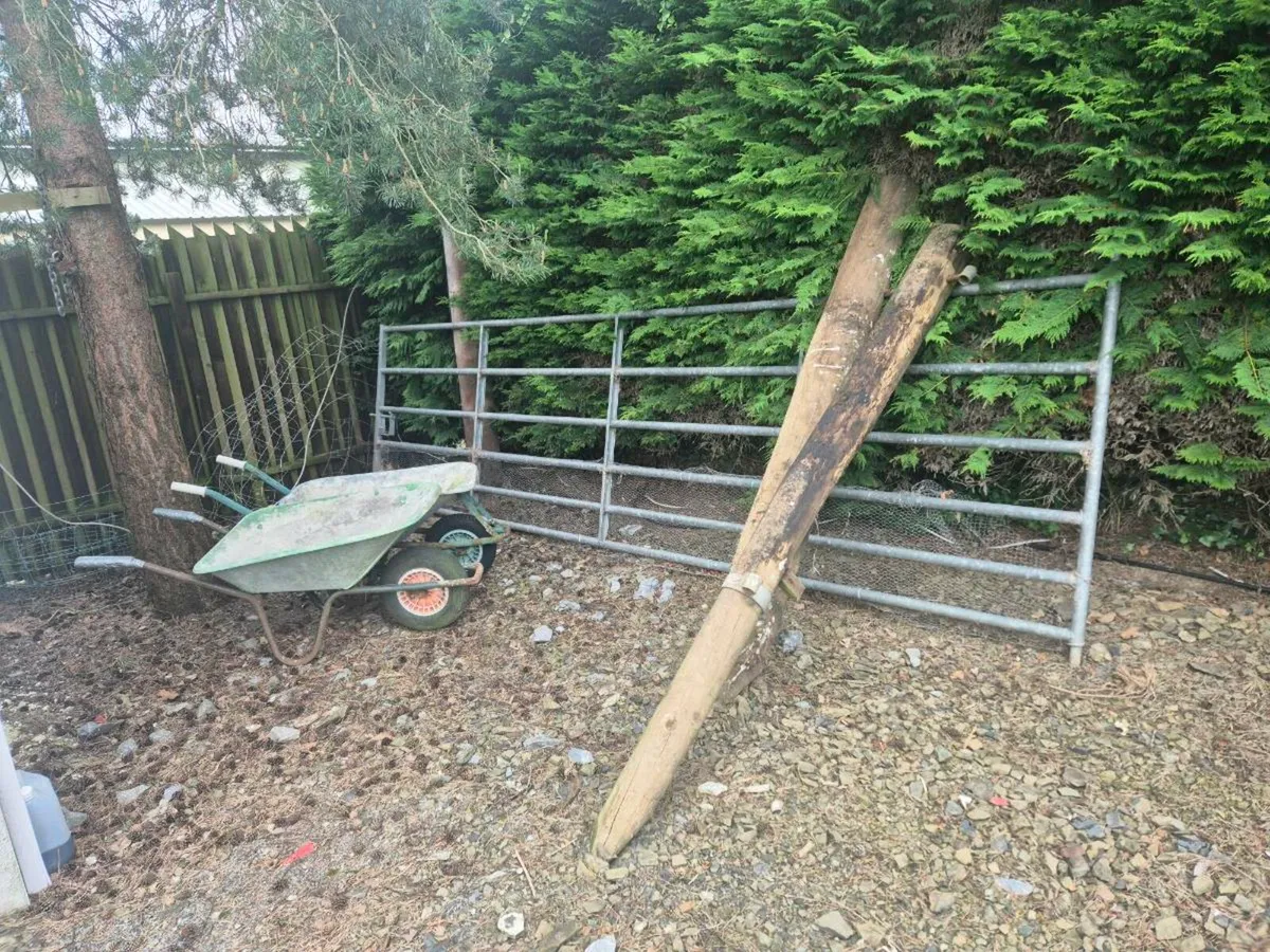 Garage Tools & DIY to Clear - Image 3