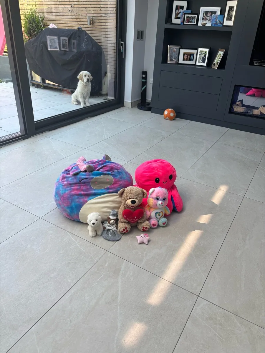 Teddy bundle - Image 1