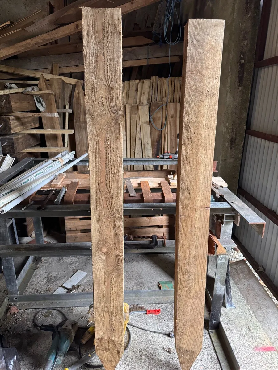 Larch posts - Image 3