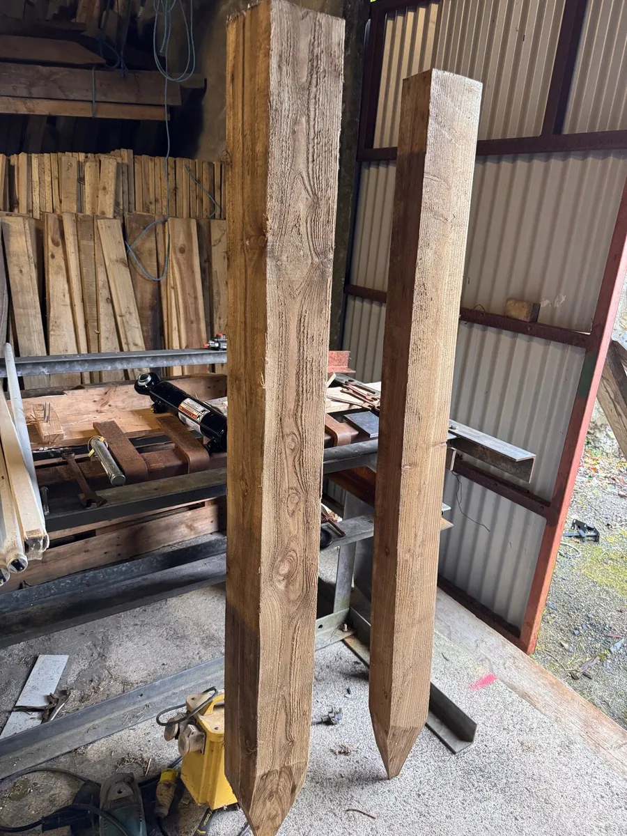 Larch posts - Image 4