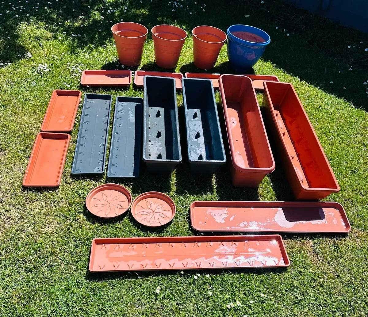Flower pots with trays - Image 1