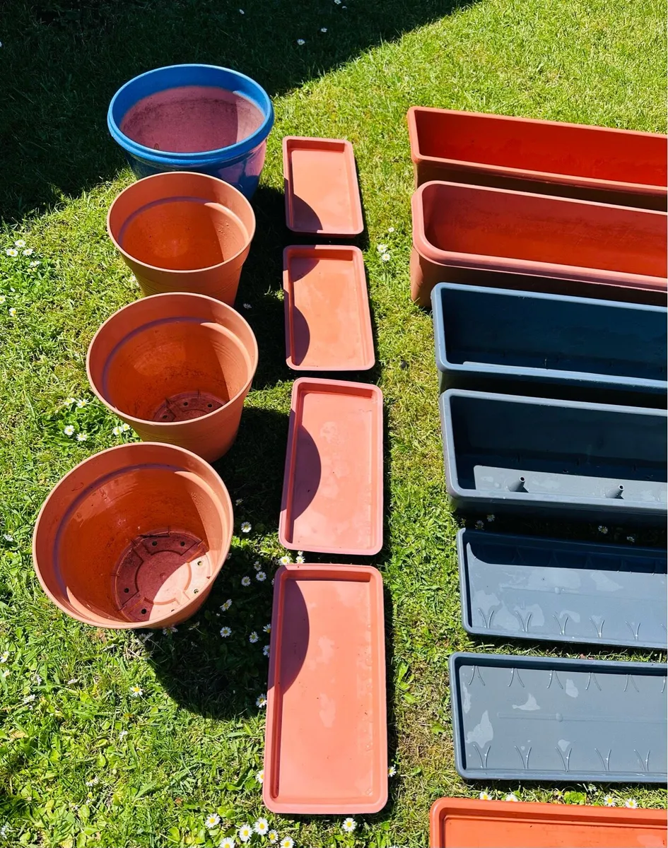 Flower pots with trays - Image 3