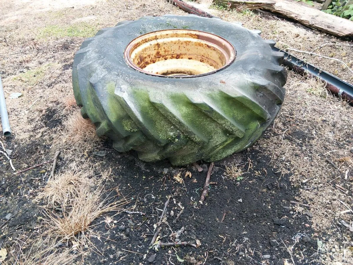 Solid 26 inch rim and tyre - Image 1