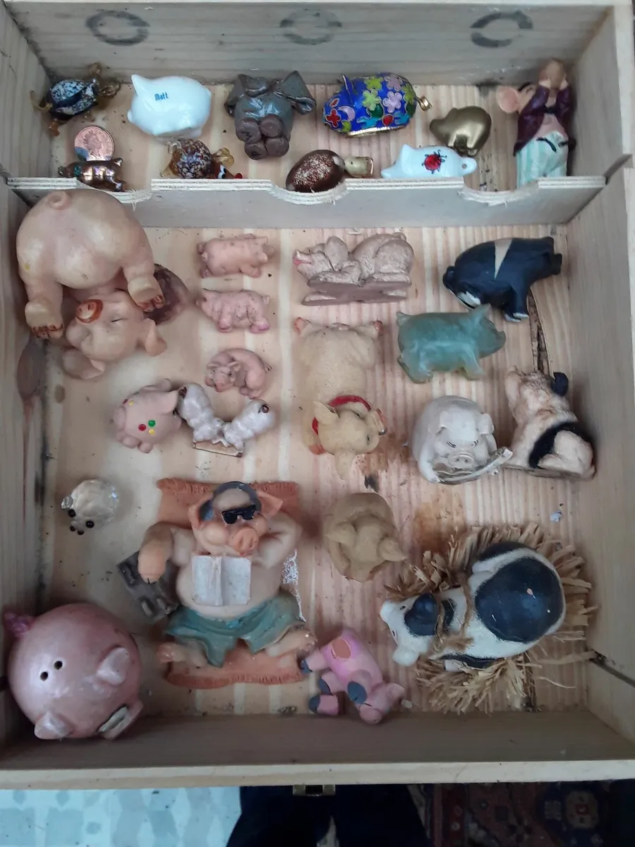Collectable pigs - Image 2