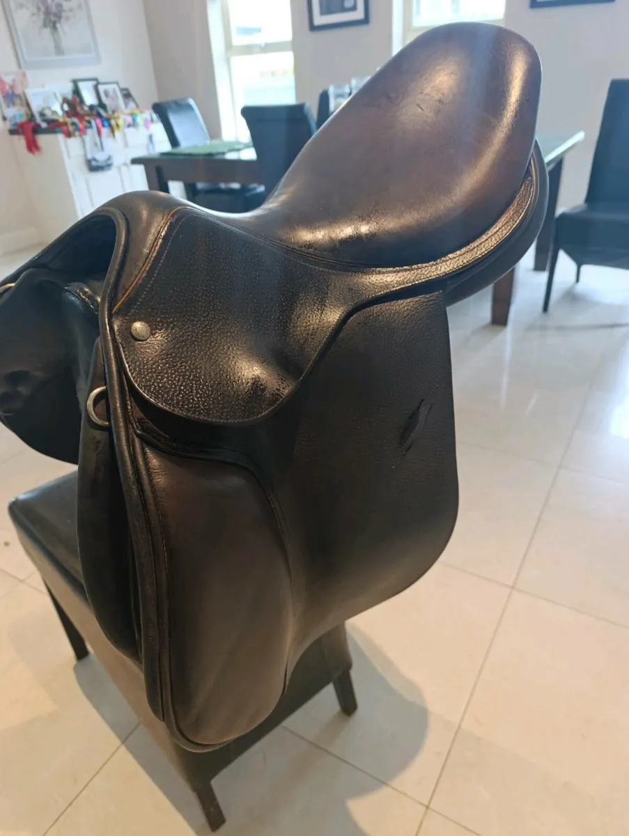 Saddle - Image 1