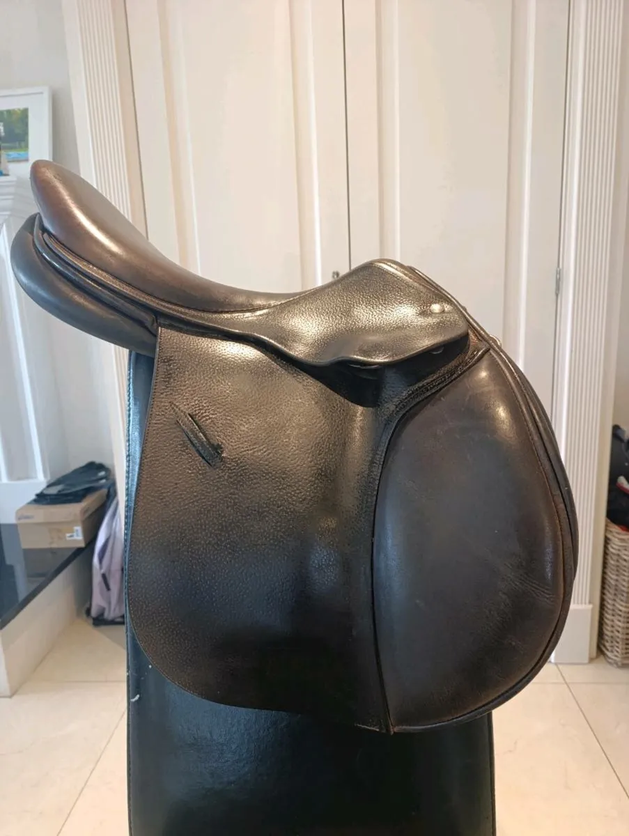 Saddle - Image 3