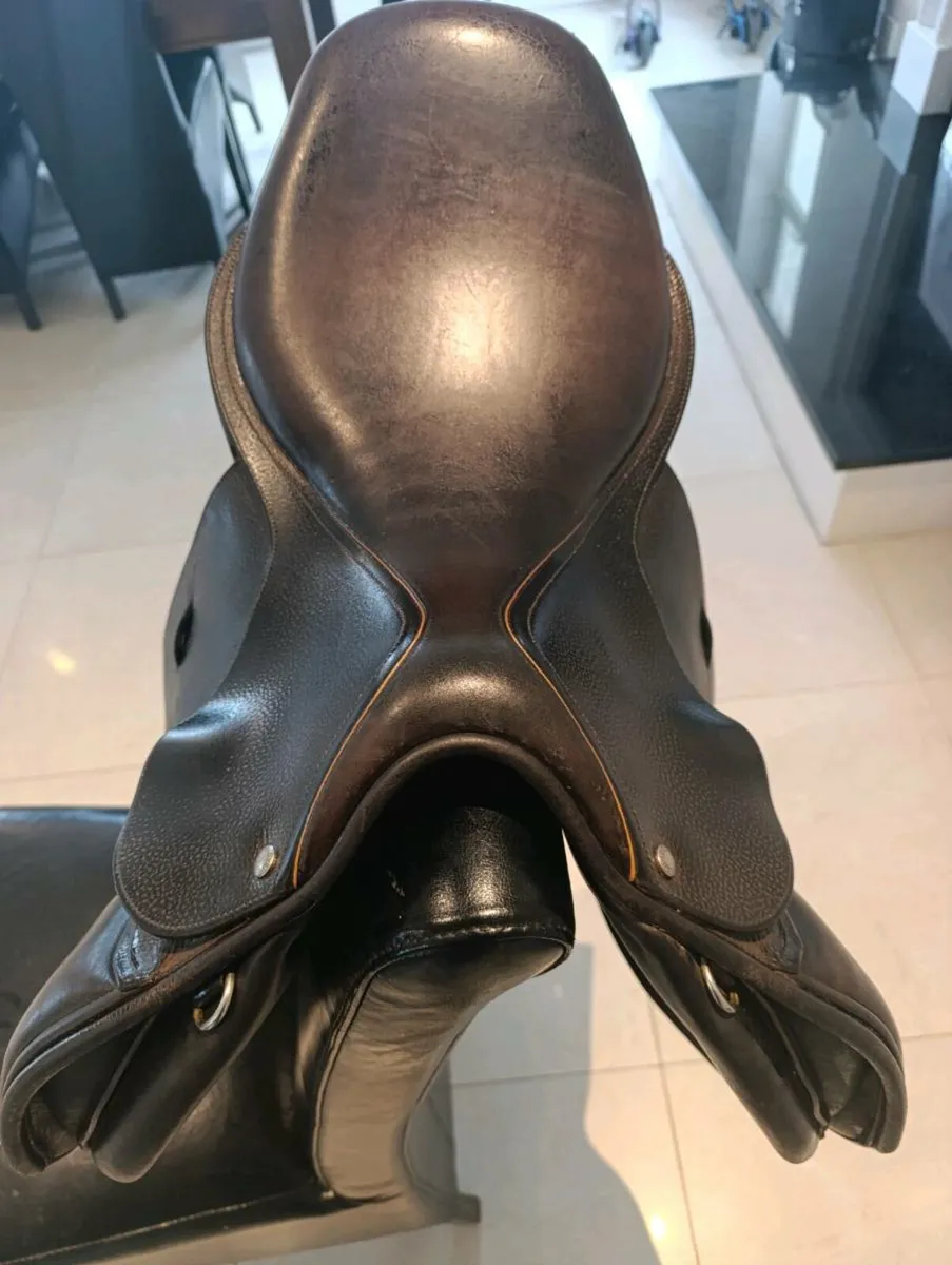 Saddle - Image 4