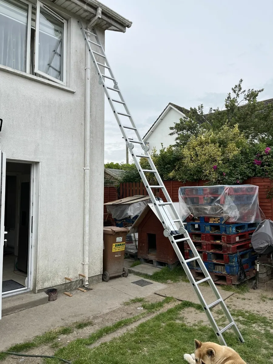 Ladder - Image 2