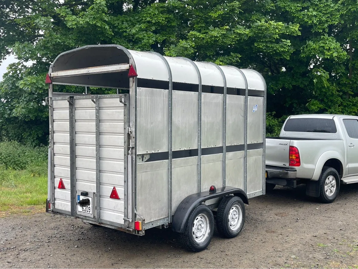 High roof livestock trailer - Image 1