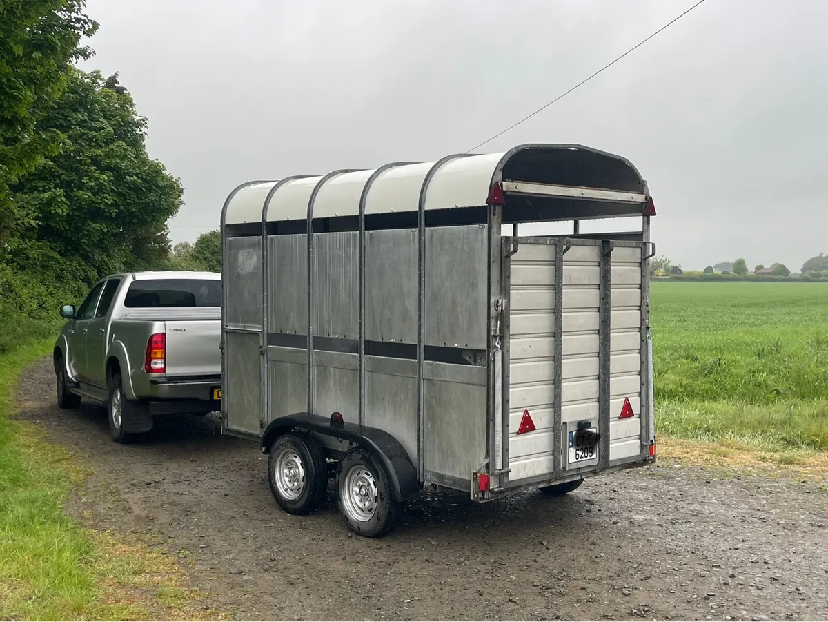 High roof livestock trailer - Image 2