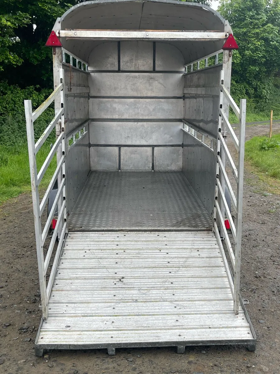 High roof livestock trailer - Image 3