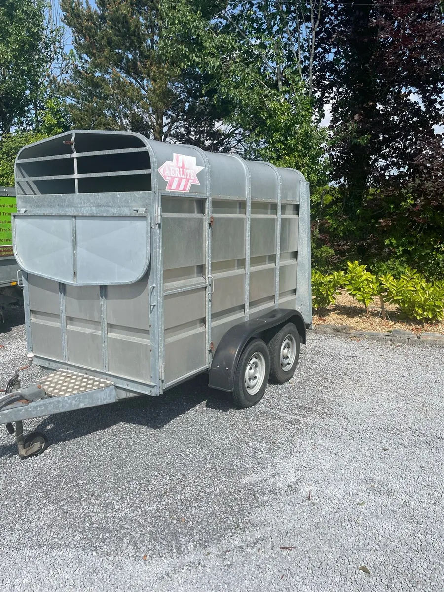 Jim Murphy  eir lite trailer - Image 2