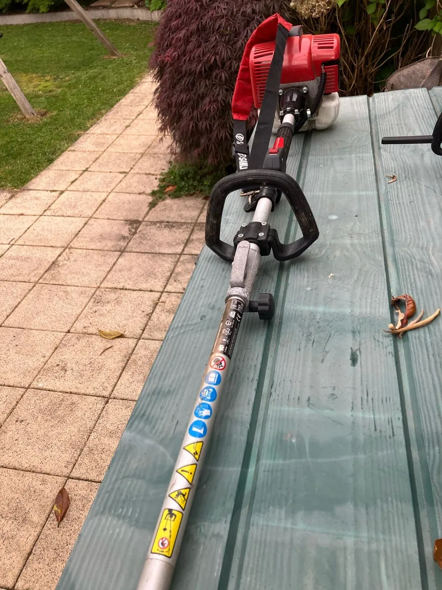 Petrol strimmer - Image 2